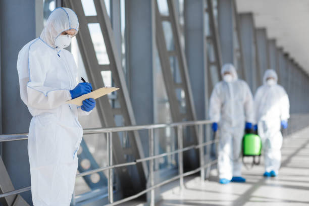 Best Mold Damage Restoration  in Man, WV